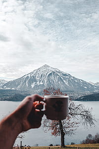 person holding white ceramic mug thumbnail