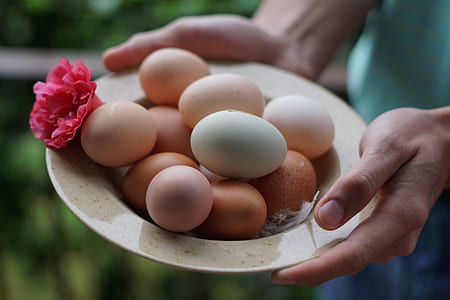 person holding brown tray with eggs thumbnail