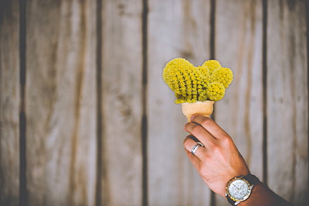 person holding flower thumbnail