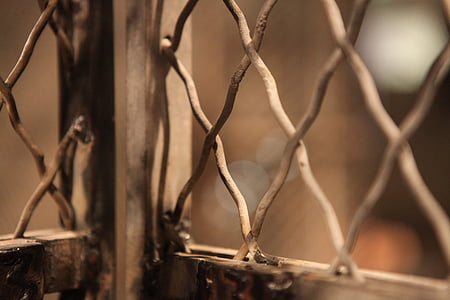selective focus photography of metal fence] thumbnail