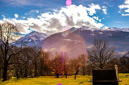 landscape photography of bare trees and mountain thumbnail