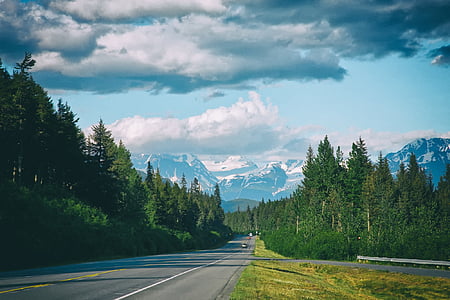 road between green leafed trees thumbnail