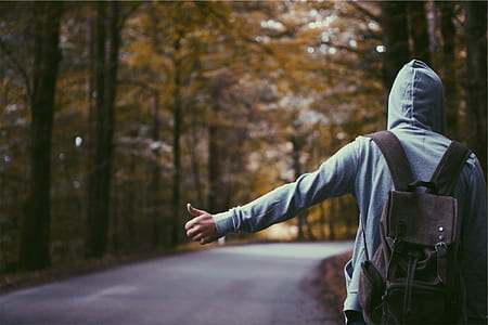 person standing wearing backpack between trees thumbnail