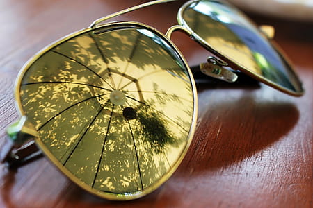 Summer Sun Umbrella Reflection of Tropical Garden Plants in Sunglasses thumbnail