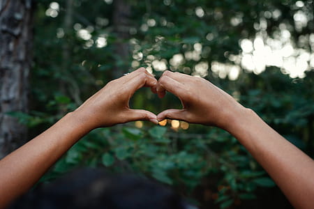 close up photo of person's hand forming heart thumbnail