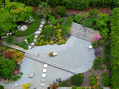 bird's-eye view photo of pathway between plants thumbnail