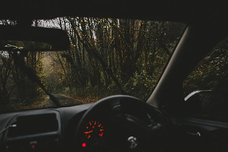 vehicle on the road in between forest thumbnail