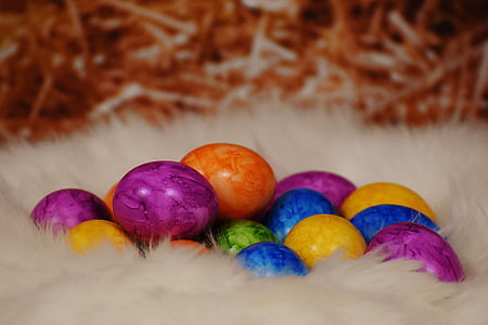 colored eggs in white nest closeup photo thumbnail