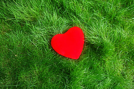 red heart on green grass thumbnail