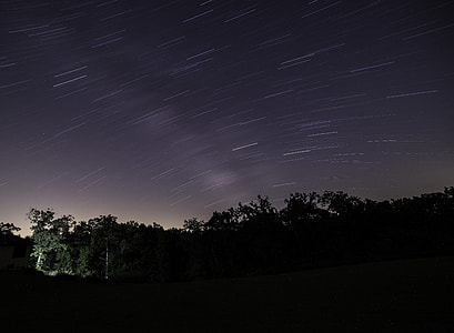 Star Trails Above the Trees thumbnail