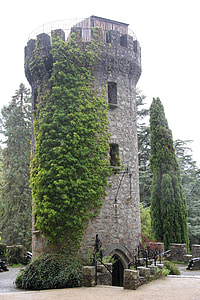 gray tower with green leaf plant thumbnail