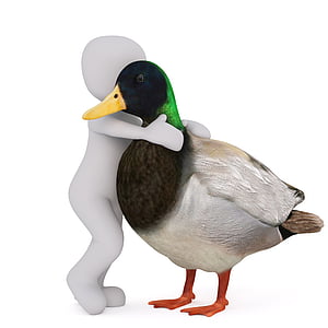 male mallard duck hugged by white child vector thumbnail