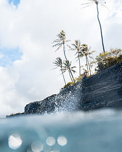 person sitting on rock formation cliff near coconut trees viewing body of water thumbnail