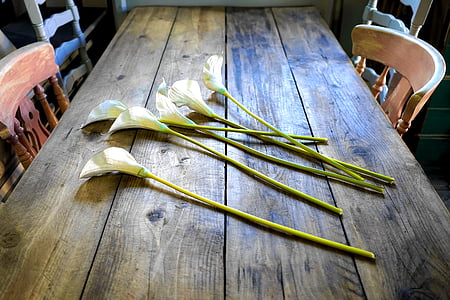 white tulips thumbnail