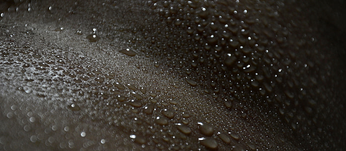 closeup photo of water dews thumbnail