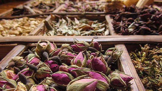 purple flower buds thumbnail