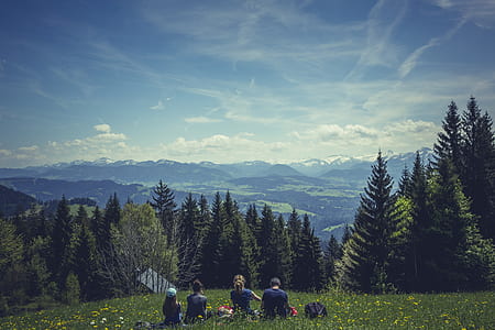 four people having picnic on forest thumbnail