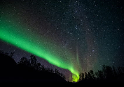 Photo of Northern Lights during Nighttime thumbnail