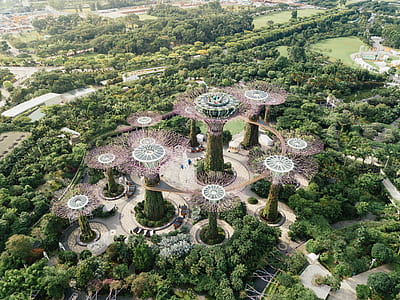 bird's-eye of view of Gardens by the Bay thumbnail