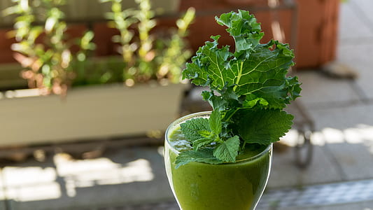 green leaf shake in clear glass cup photo thumbnail