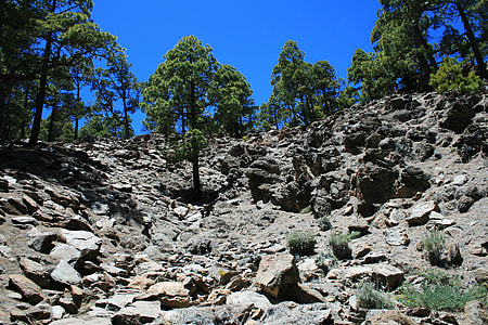 Canary Islands, Teide National Park thumbnail