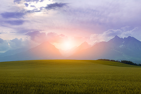 green lawn grass during sunset thumbnail
