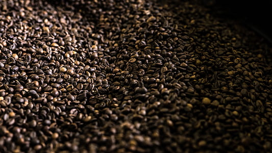 pile of brown coffee beans thumbnail
