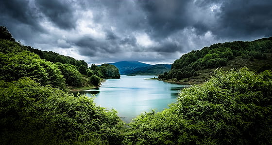 body of water surrounded with trees thumbnail