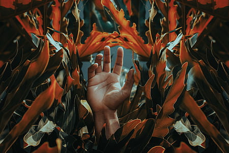 Hand Among Orange Leaves thumbnail