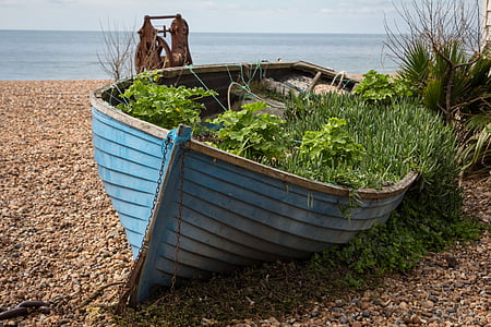 blue canoe boat on shore thumbnail