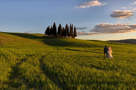 couple on grass field under sunny sky thumbnail