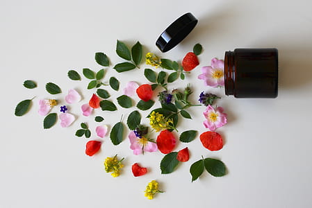 red, pink, yellow, and green flowers thumbnail