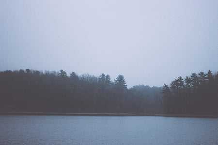 body of water near forest thumbnail