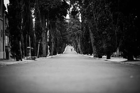 greyscale photo of empty street thumbnail