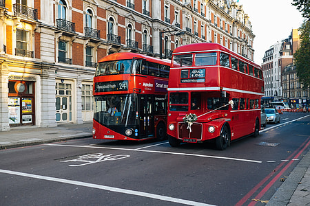 landscape photography of two double decker bus on road thumbnail