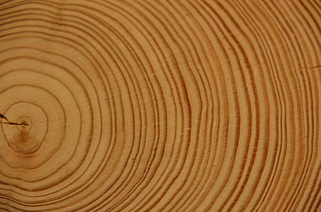 wood, annual rings, tree, log, strains thumbnail