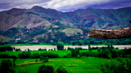 Landscape Photography of Mountains and Trees thumbnail