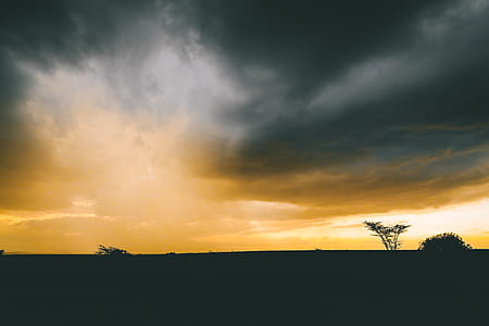 Silhouette of Tree Under Cumulus Clouds thumbnail