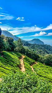 Mountain With Trees thumbnail
