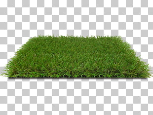 Lawn Artificial turf Terrace garden Carpet, lush grass PNG
