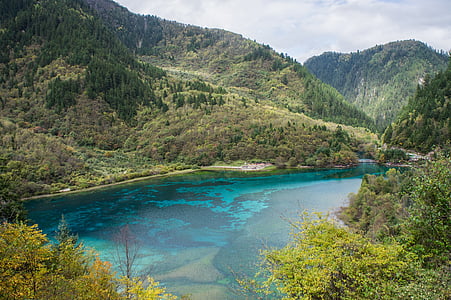 aerial photography of body of water surrounded with trees thumbnail