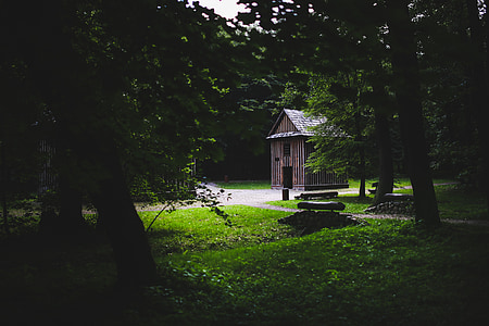 brown cabin near trees thumbnail