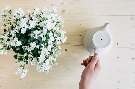 Summer flowers and teapot thumbnail