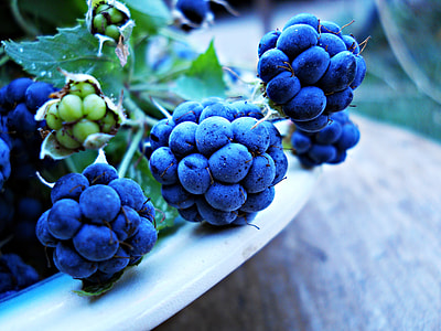 close up image of blue berry thumbnail
