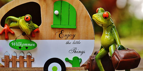 Kermit the Frog carrying bag illustration thumbnail