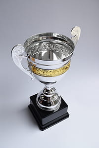 two-tone trophy thumbnail