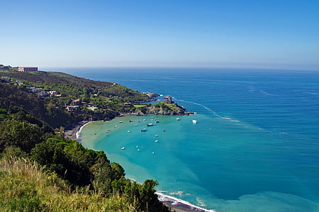overlooking houses beside the coastline thumbnail