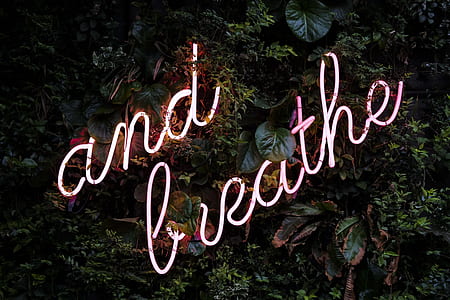 and breathe neon light signage turned on thumbnail