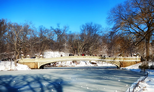 gray concrete bridge beside lake and leafless trees thumbnail