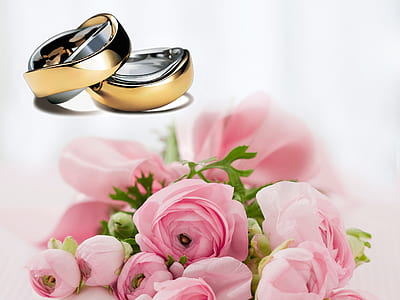 two gold-colored band rings thumbnail